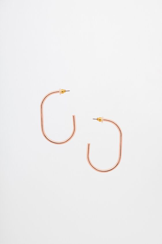 Rose Gold Earrings, , image 1