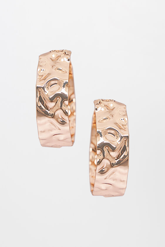 Golden Hoop Earrings, , image 1