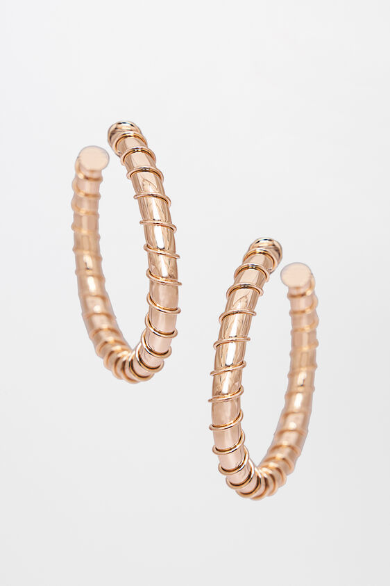 Golden Disc Earring, , image 1