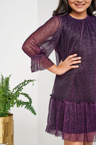 Wine and Black Solid Flared Dress, Wine, image 5