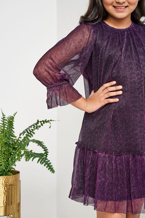 Wine and Black Solid Flared Dress, Wine, image 5