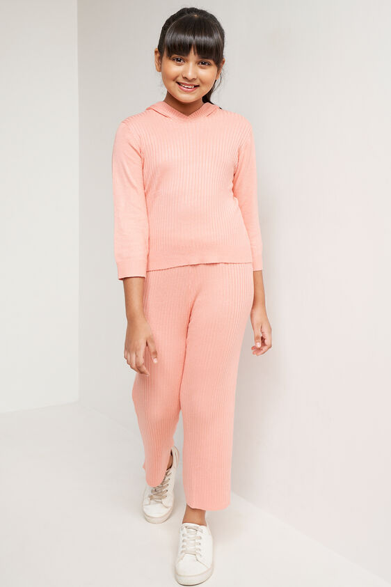 Pink Solid Straight Suit, Pink, image 1