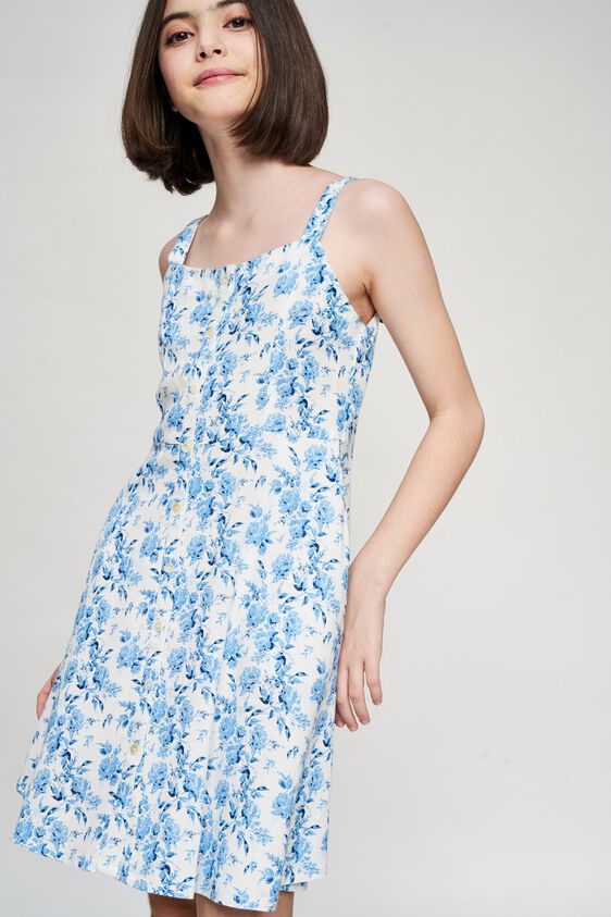 1 - Blue Floral Printed Fit And Flare Dress, image 1