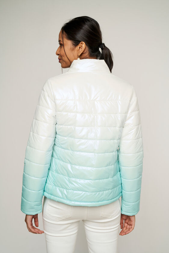 Mint Self Design Straight Jacket, Mint, image 3