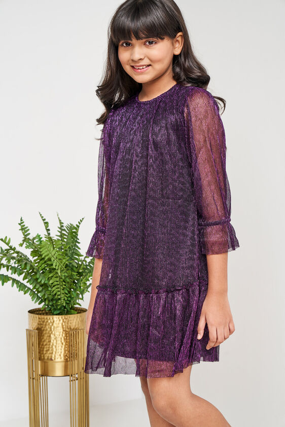 Wine and Black Solid Flared Dress, Wine, image 3