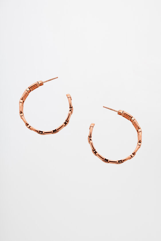 Rose Gold Brass Earring, , image 1